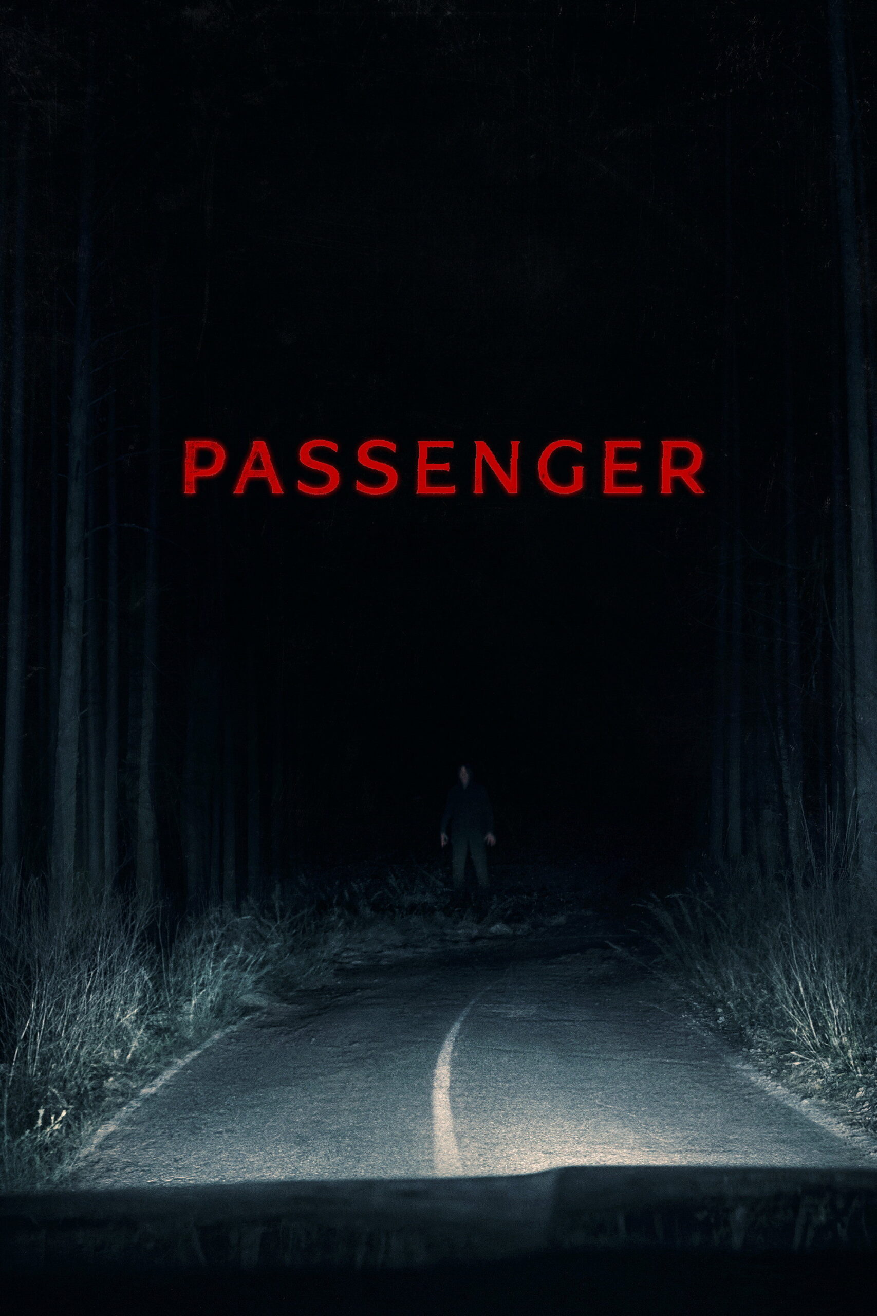Passenger — film poster